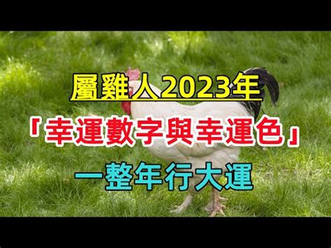 1969屬雞2023幸運色|「1969屬雞幸運色」：你的幸運色是什麼？【1969屬。